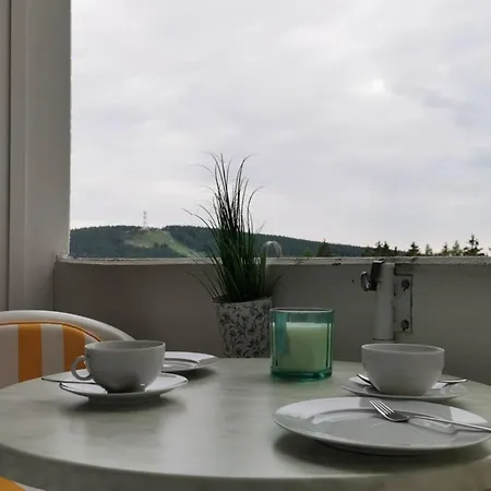 Bocksbergkieker Im Hahnenklee *